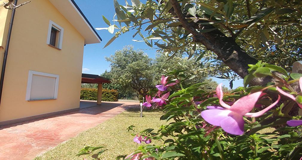 Villa Aurelio Squillace Dış mekan fotoğraf